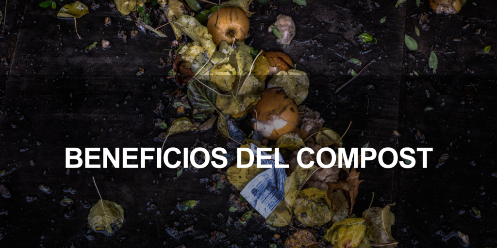 Ventajas del compost